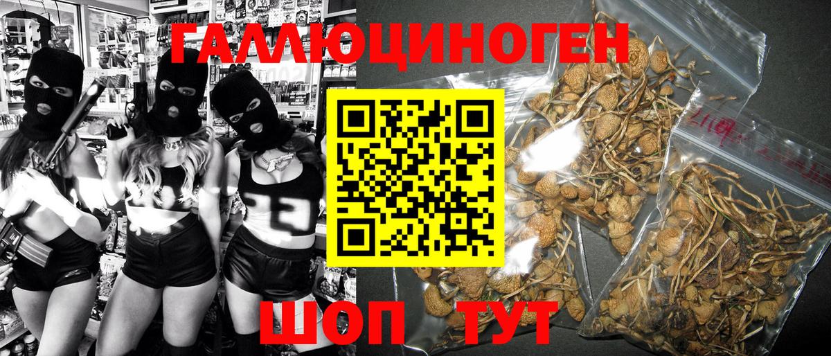 Псилоцибиновые грибы мухоморы Грозный
